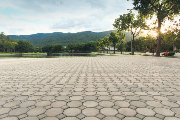 Best Concrete Paver Driveway  in Eaton Rapids, MI